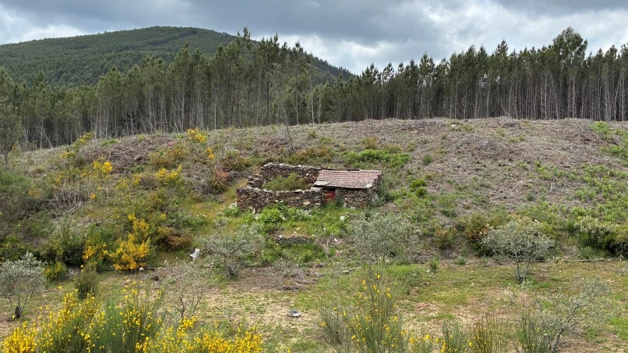 Terreno para Venda em Unhais-O-Velho