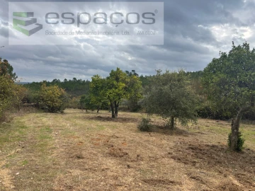 Terreno para Venda em Santo Andre das Tojeiras