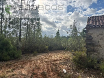 Terreno para Venda em Santo Andre das Tojeiras