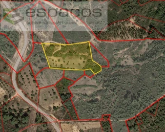 Terreno para Venda em Santo Andre das Tojeiras