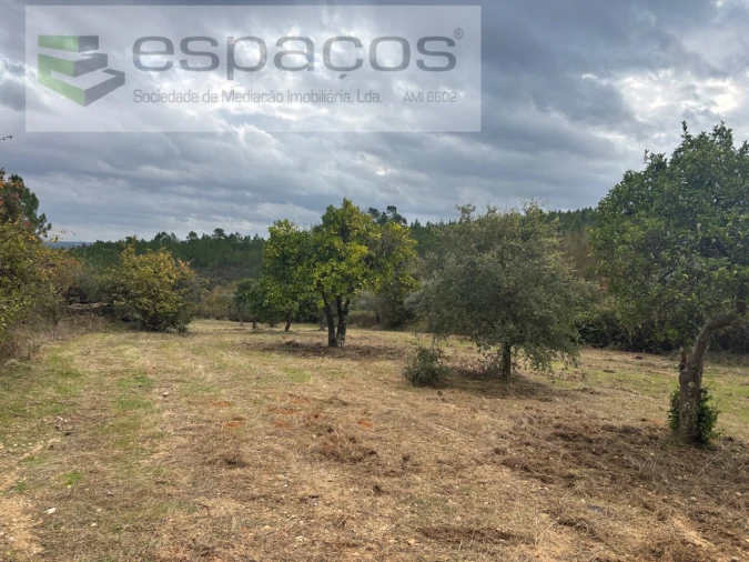 Terreno para Venda em Santo Andre das Tojeiras Foto 2