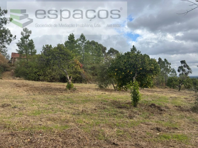 Terreno para Venda em Santo Andre das Tojeiras Foto 3