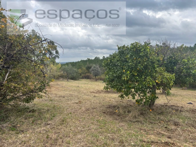 Terreno para Venda em Santo Andre das Tojeiras Foto 6