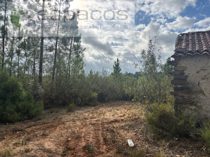 Terreno para Venda em Santo Andre das Tojeiras Foto 9