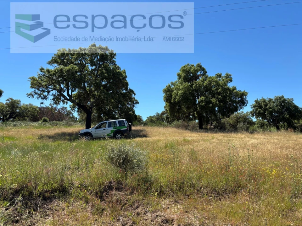 Terreno para Venda em Castelo Branco Foto 2