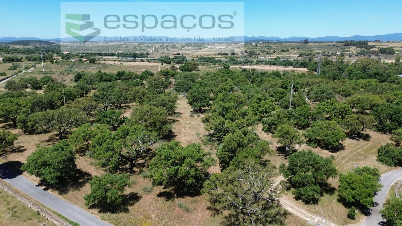 Terreno para Venda em Castelo Branco Foto 3