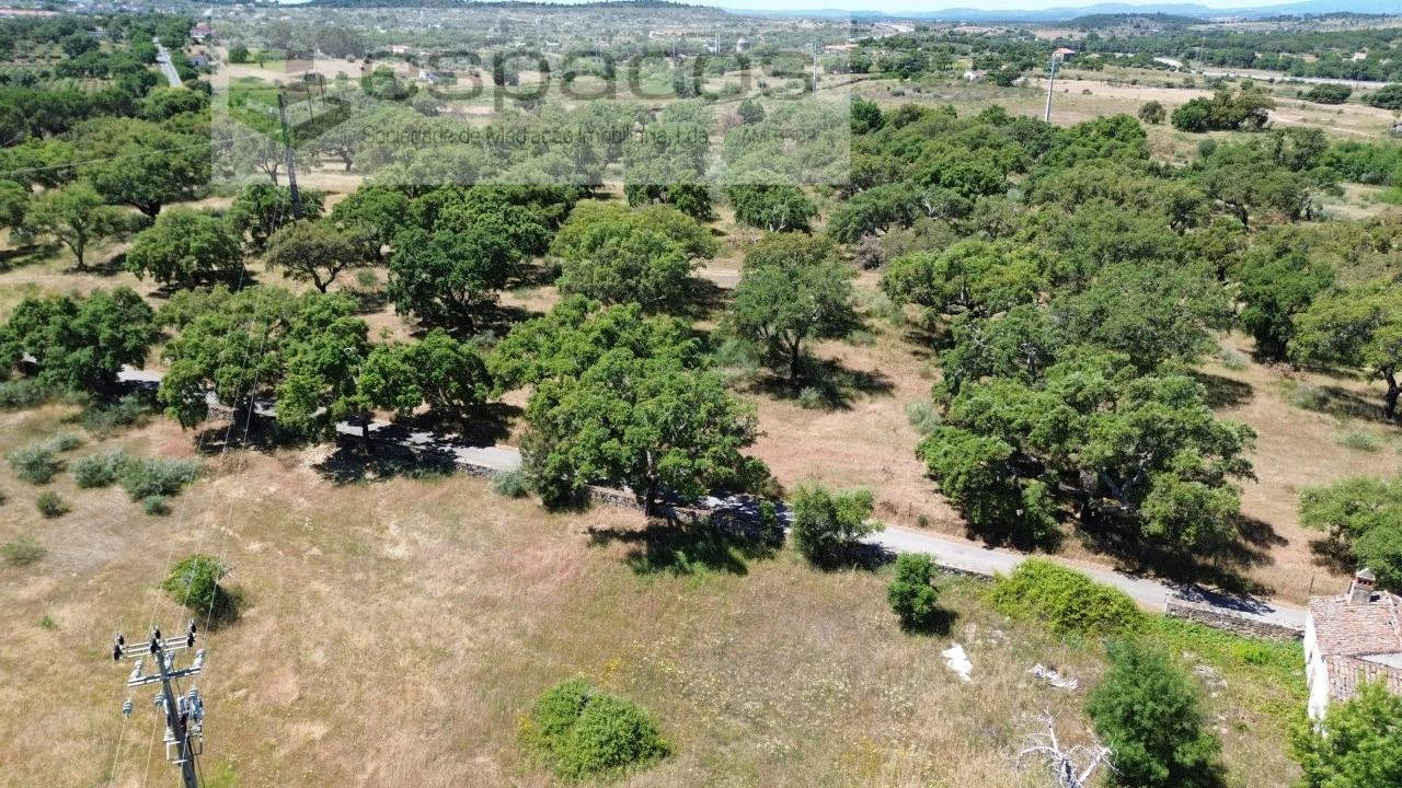 Terreno para Venda em Castelo Branco Foto 4