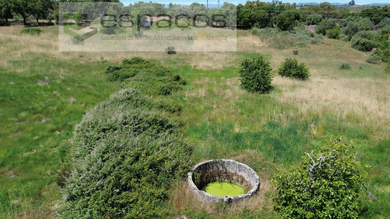 Terreno para Venda em Castelo Branco Foto 6