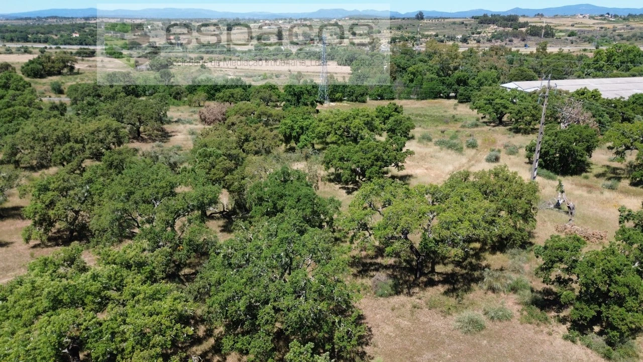 Terreno para Venda em Castelo Branco Foto 9