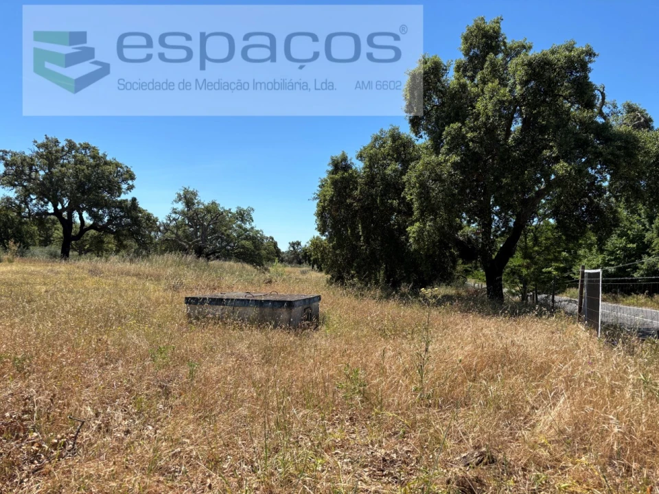 Terreno para Venda em Castelo Branco Foto 10