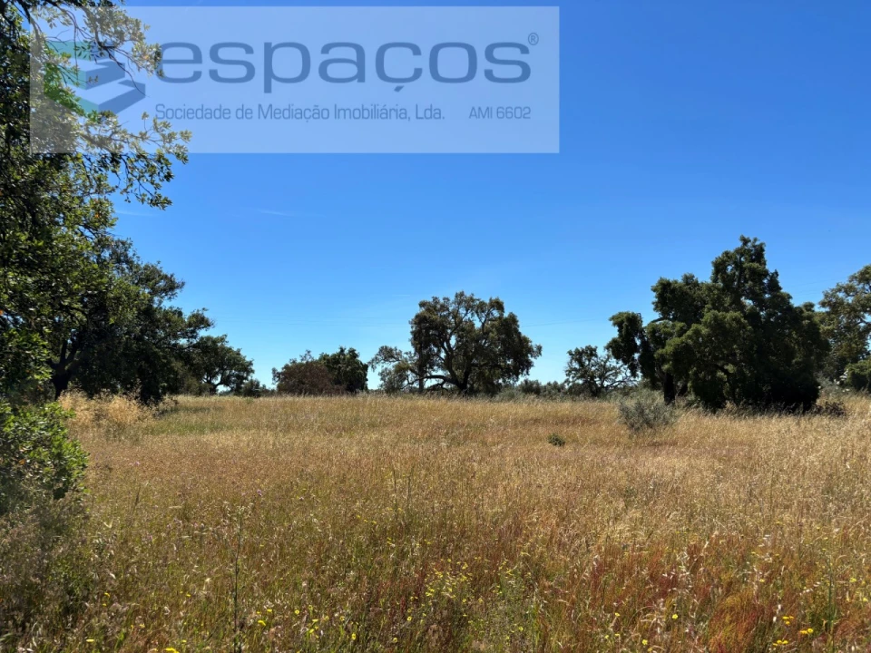 Terreno para Venda em Castelo Branco Foto 14