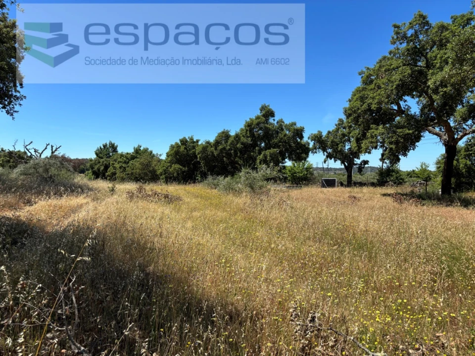 Terreno para Venda em Castelo Branco Foto 15
