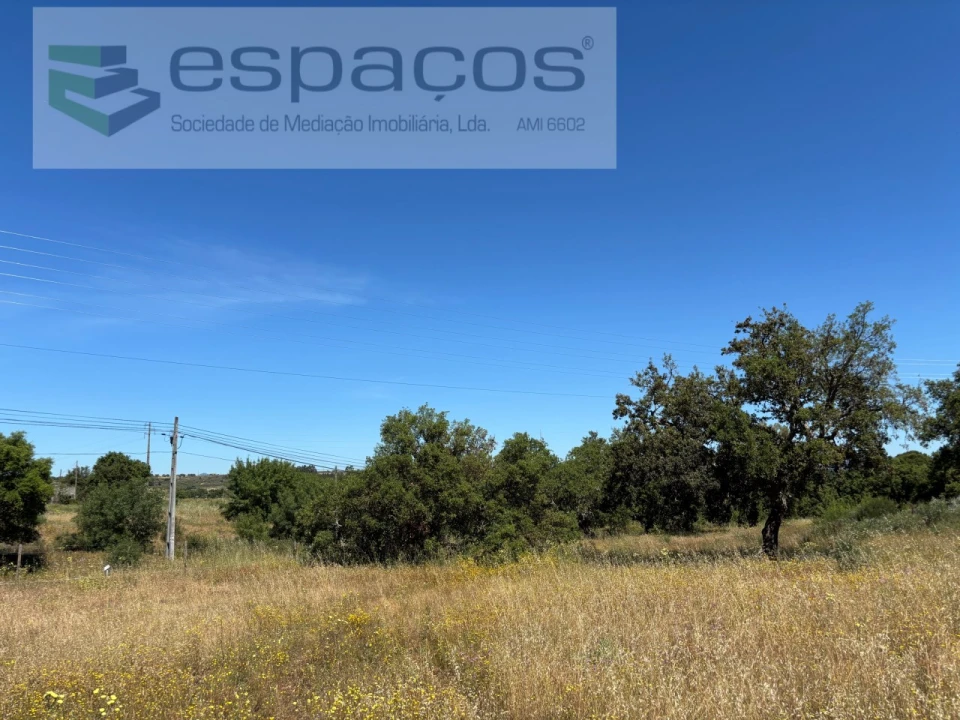 Terreno para Venda em Castelo Branco Foto 16