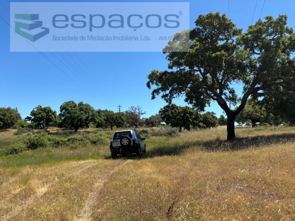 Terreno para Venda em Castelo Branco Foto 17