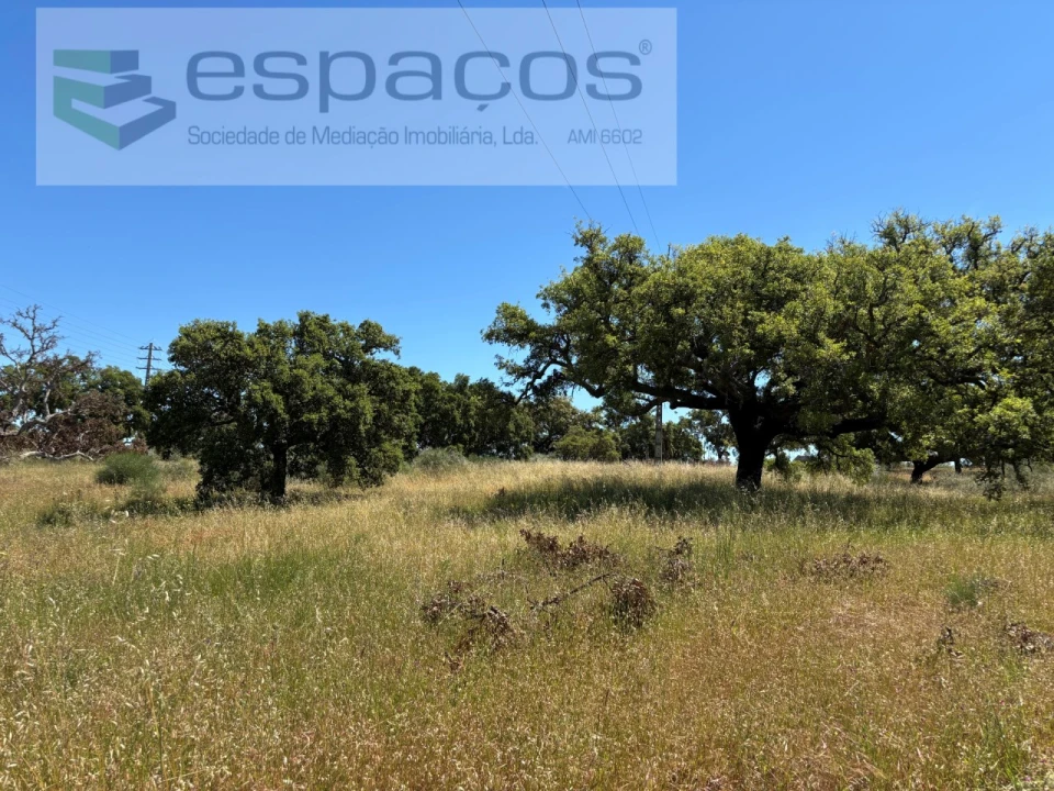 Terreno para Venda em Castelo Branco Foto 1
