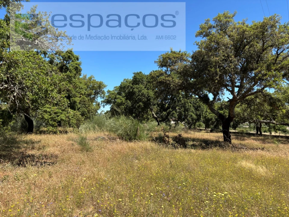Terreno para Venda em Castelo Branco Foto 8