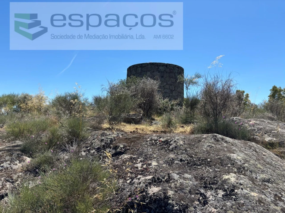 Terreno para Venda em Castelo Branco Foto 18