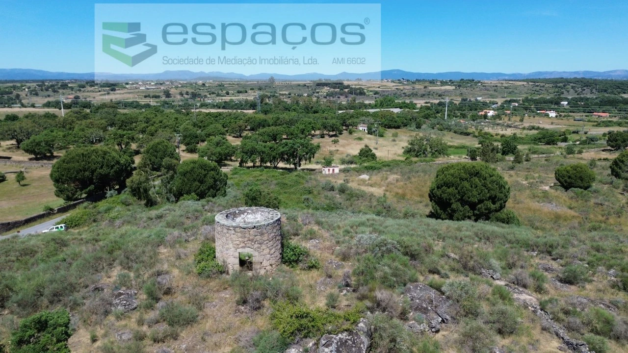 Terreno para Venda em Castelo Branco Foto 19
