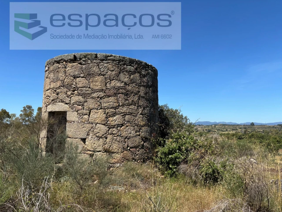Terreno para Venda em Castelo Branco Foto 20