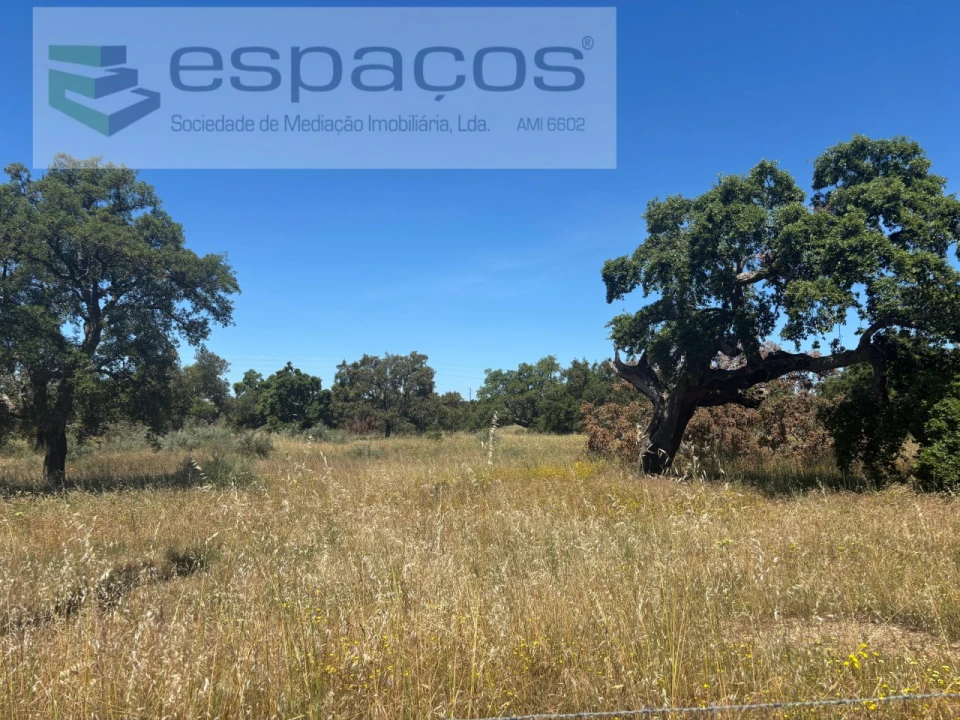 Terreno para Venda em Castelo Branco Foto 21