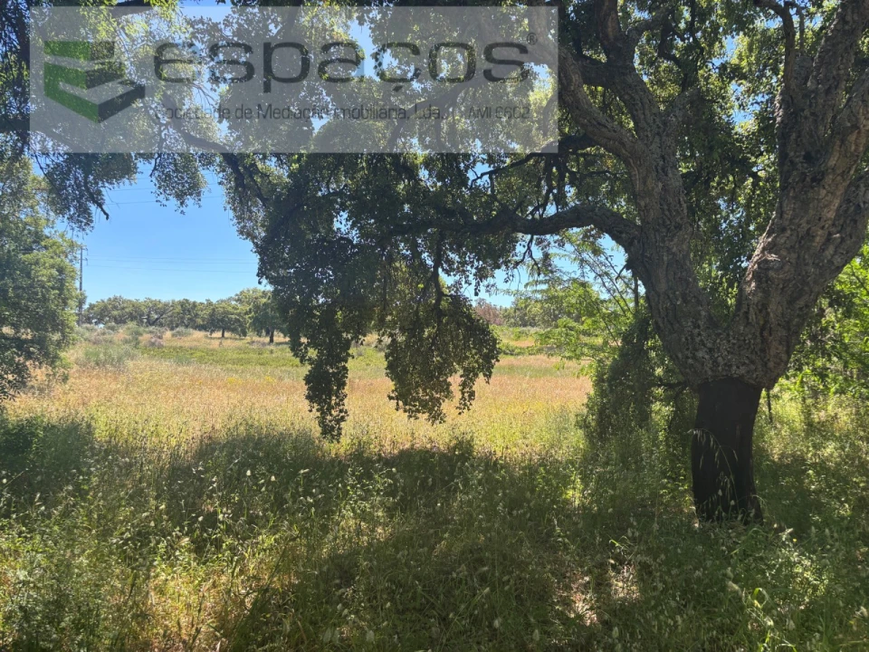 Terreno para Venda em Castelo Branco Foto 22
