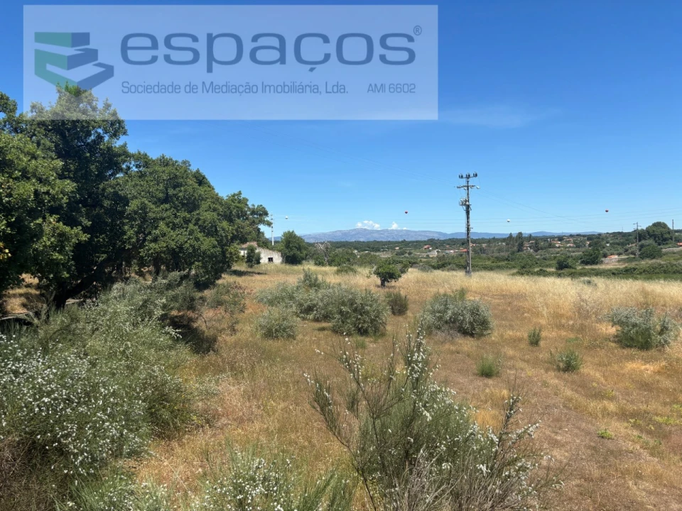 Terreno para Venda em Castelo Branco Foto 23