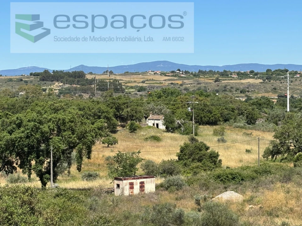 Terreno para Venda em Castelo Branco Foto 24