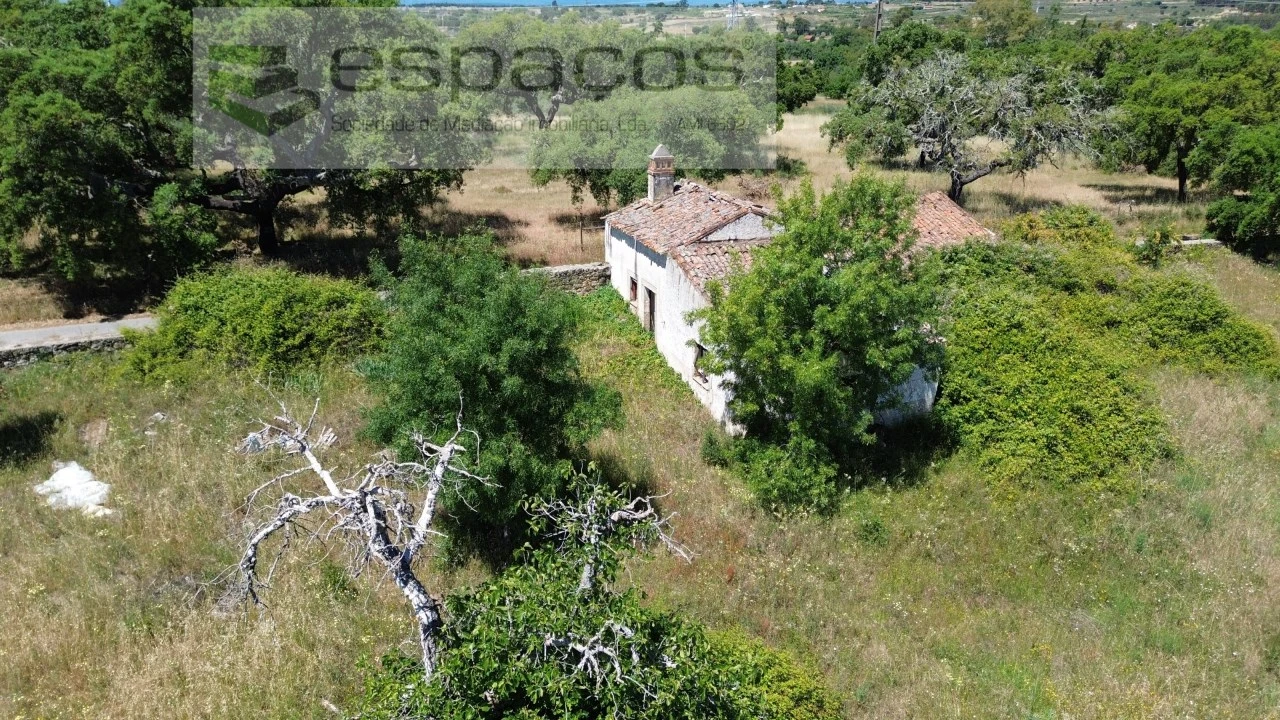 Terreno para Venda em Castelo Branco Foto 12