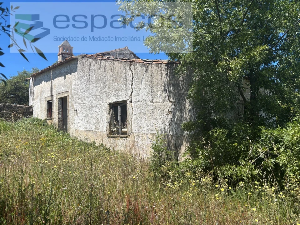 Terreno para Venda em Castelo Branco Foto 13