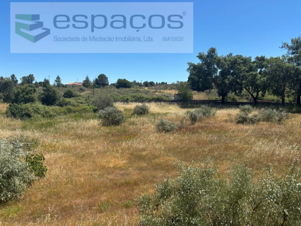 Terreno para Venda em Castelo Branco Foto 25