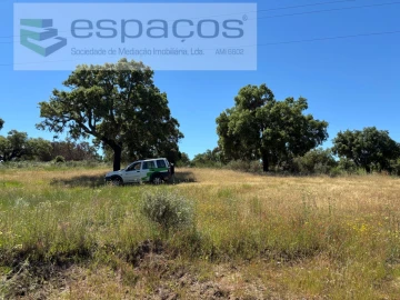 Terreno para Venda em Castelo Branco
