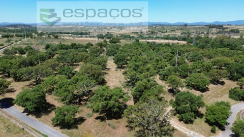 Terreno para Venda em Castelo Branco