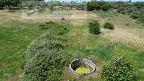Terreno para Venda em Castelo Branco