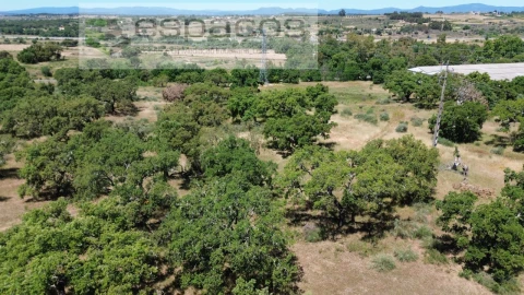 Terreno para Venda em Castelo Branco