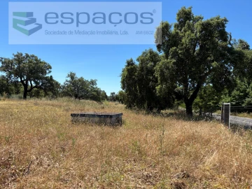 Terreno para Venda em Castelo Branco