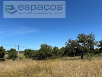 Terreno para Venda em Castelo Branco