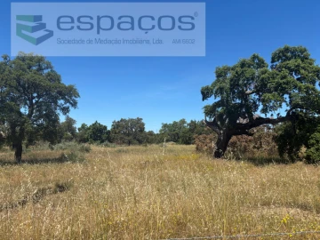 Terreno para Venda em Castelo Branco