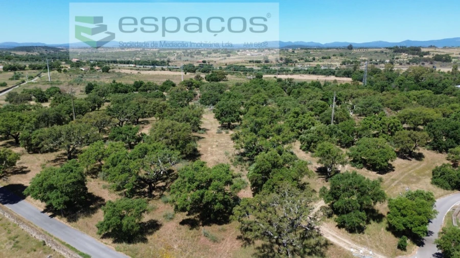 Terreno para Venda em Castelo Branco Foto 3