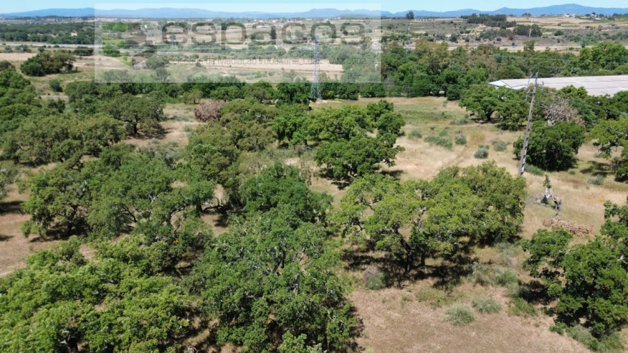 Terreno para Venda em Castelo Branco Foto 9
