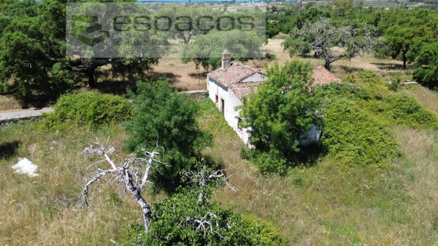 Terreno para Venda em Castelo Branco Foto 12
