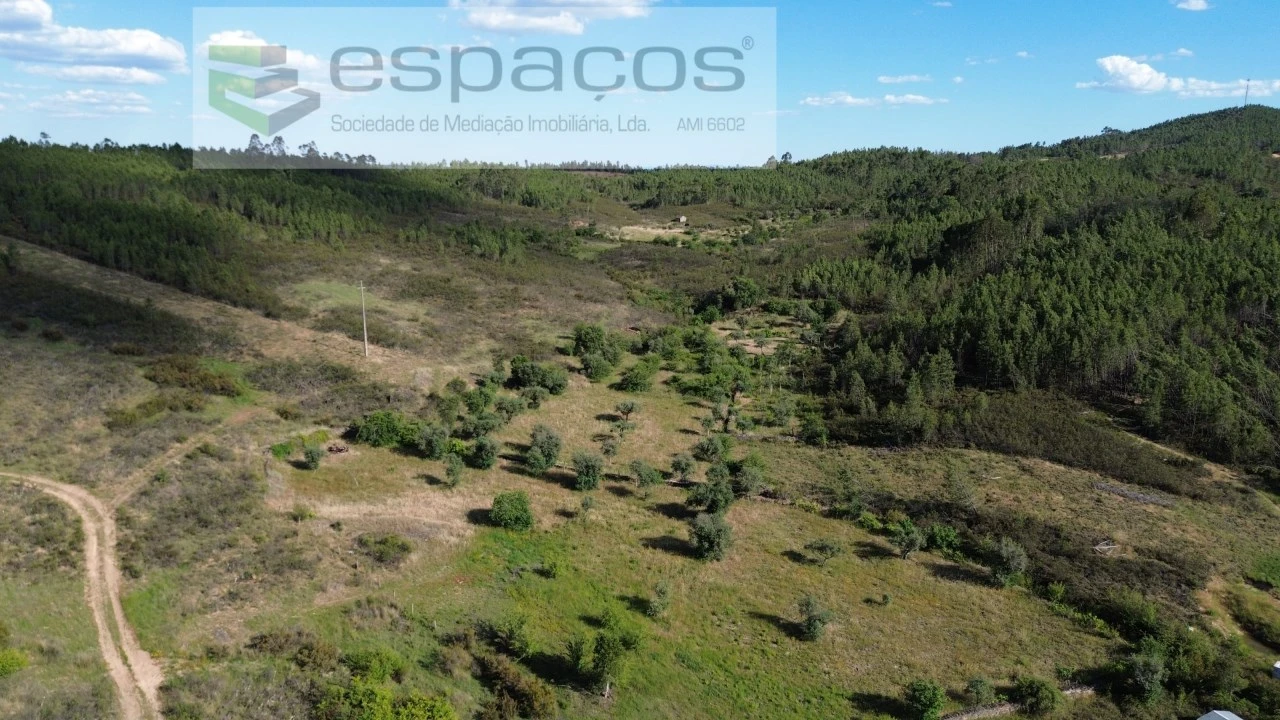Terreno para Venda em Santo Andre das Tojeiras Foto 1
