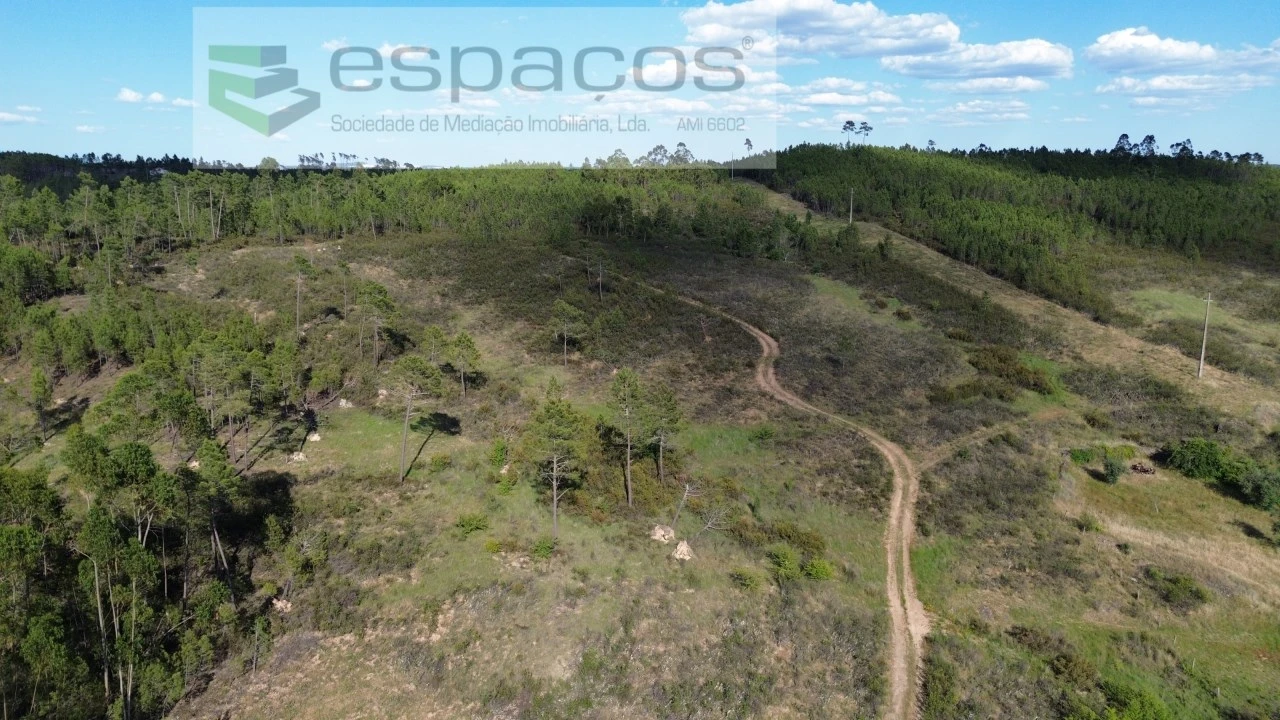 Terreno para Venda em Santo Andre das Tojeiras Foto 3