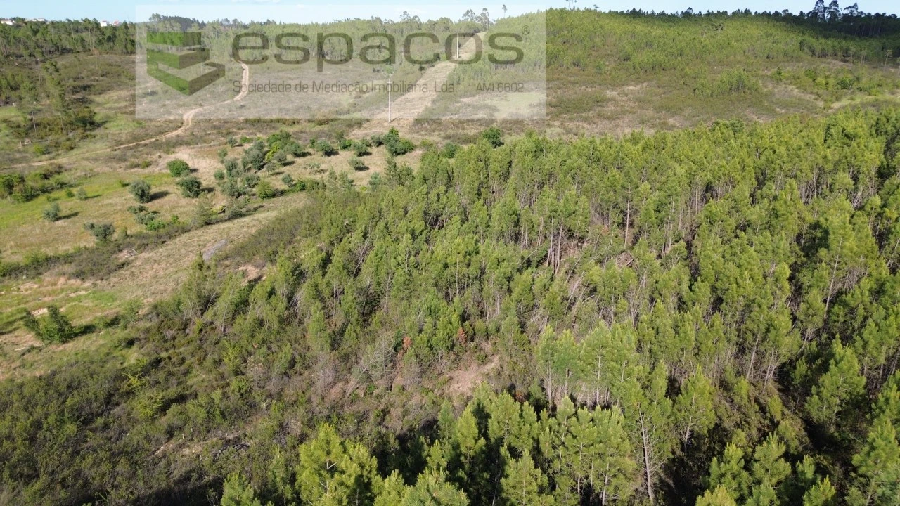 Terreno para Venda em Santo Andre das Tojeiras Foto 5