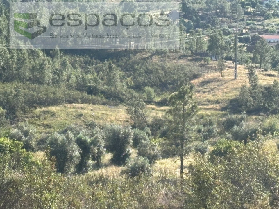 Terreno para Venda em Santo Andre das Tojeiras Foto 11