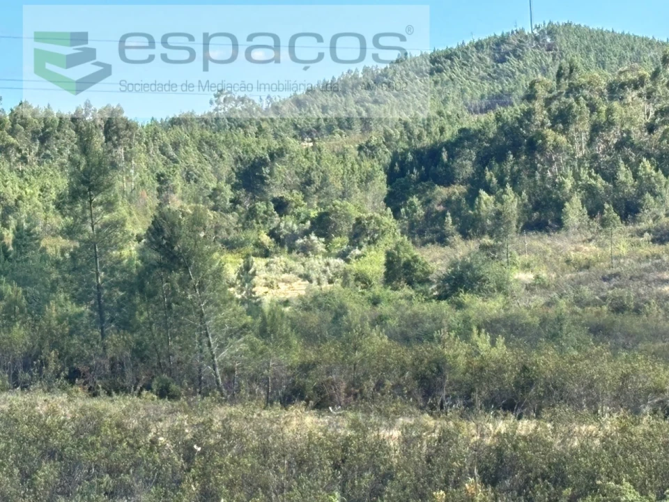 Terreno para Venda em Santo Andre das Tojeiras Foto 12