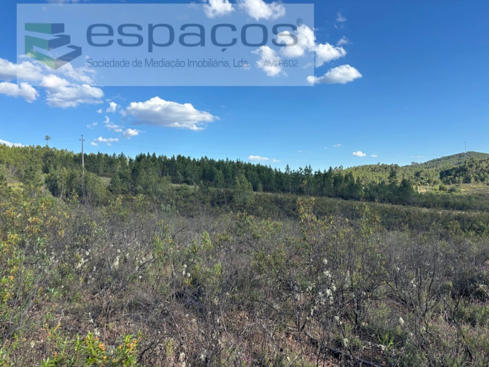 Terreno para Venda em Santo Andre das Tojeiras Foto 14