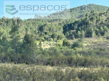 Terreno para Venda em Santo Andre das Tojeiras