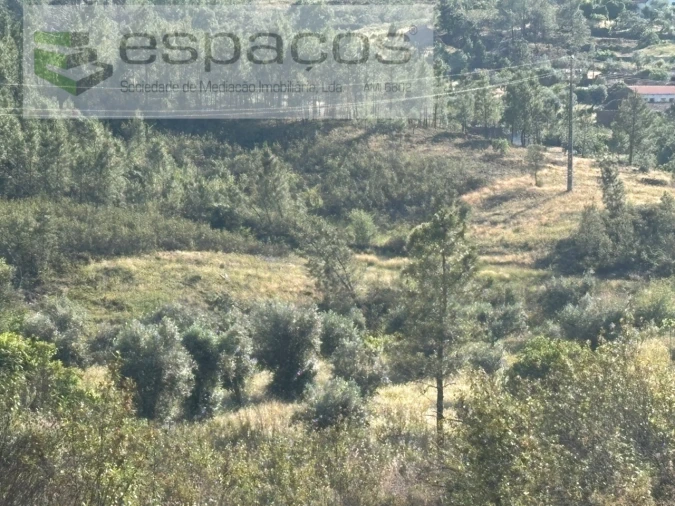 Terreno para Venda em Santo Andre das Tojeiras Foto 11