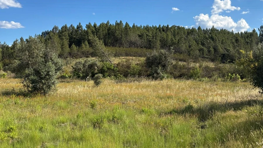 Terreno para Venda em Santo Andre das Tojeiras