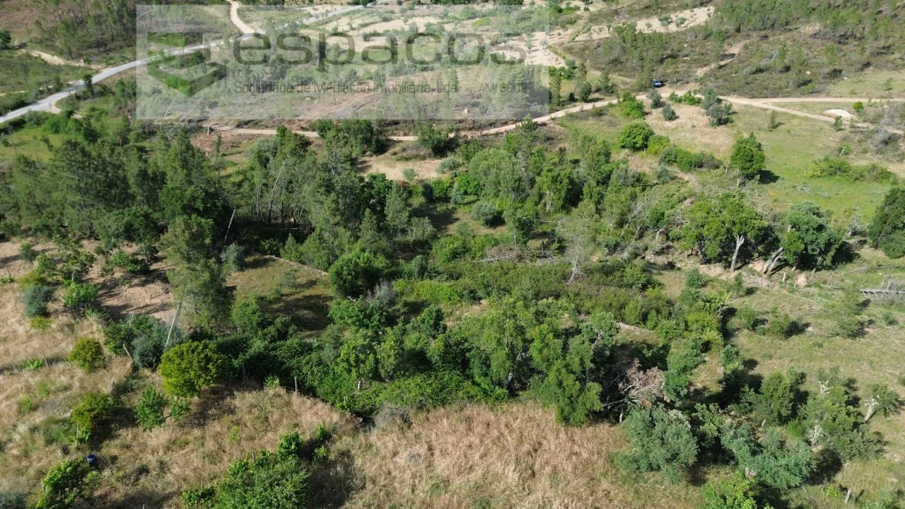 Terreno para Venda em Santo Andre das Tojeiras Foto 4